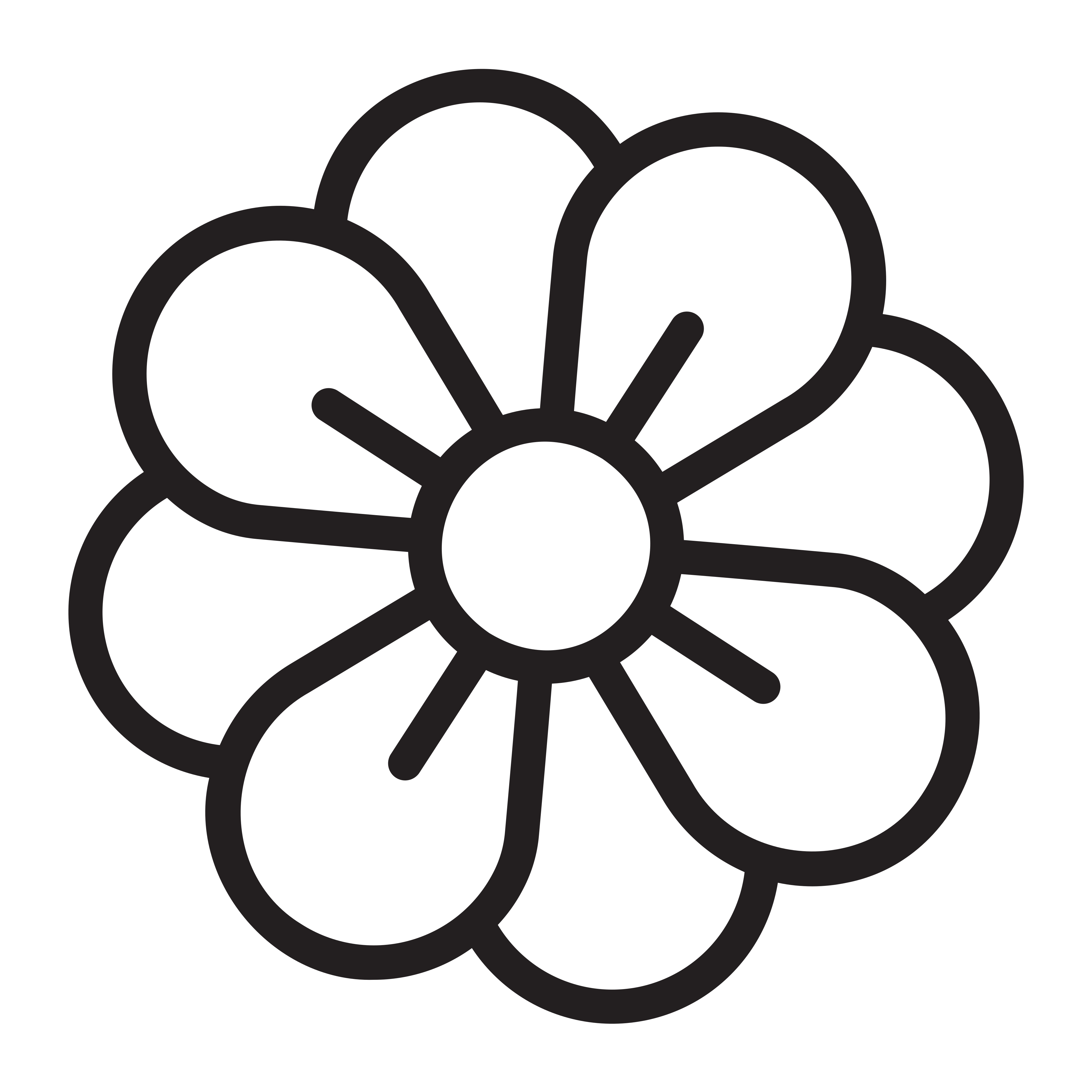 Agentur OTeam GmbH